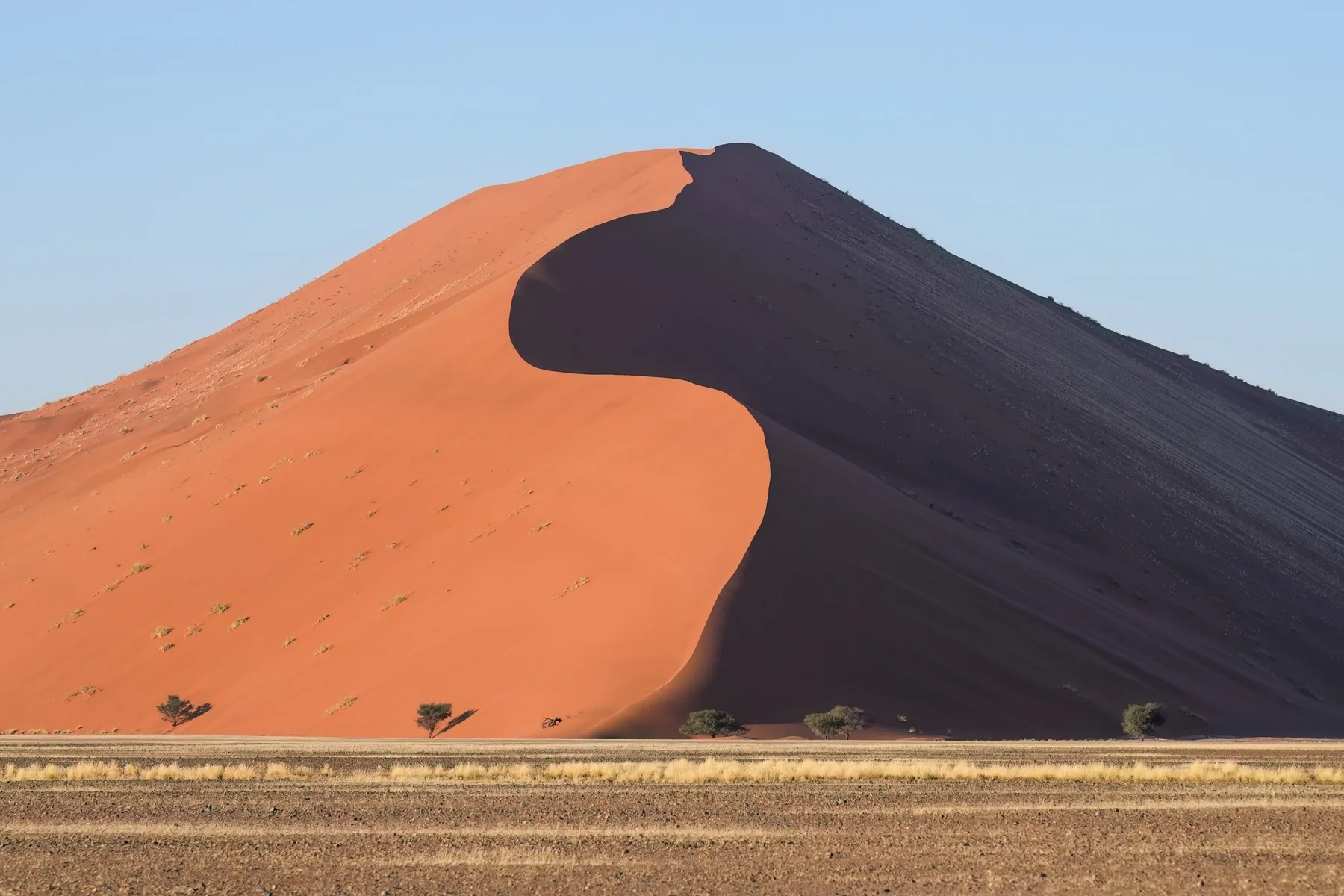 Düne 45 in Sossusvlei bei Sonnenaufgang