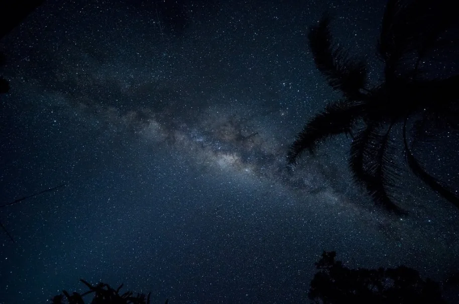 Die Milchstraße über Namibia, eingerahmt von dunklen Baumsilhouetten