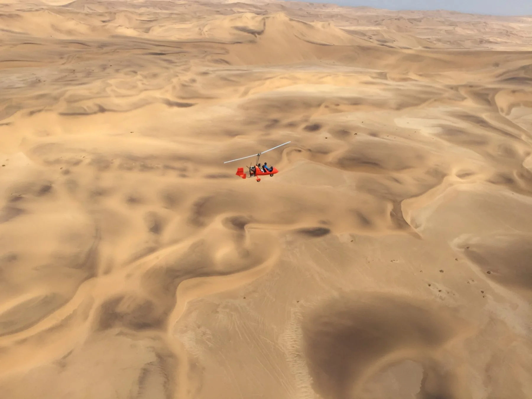 Ein Gyro im Flug über den Dünen der Namib